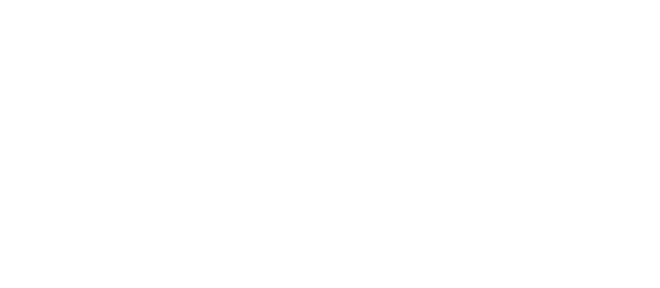 vmware, NetApp, Dell, VeeAM